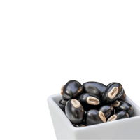 Mucuna Pruriens