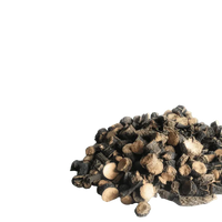 Black Musli